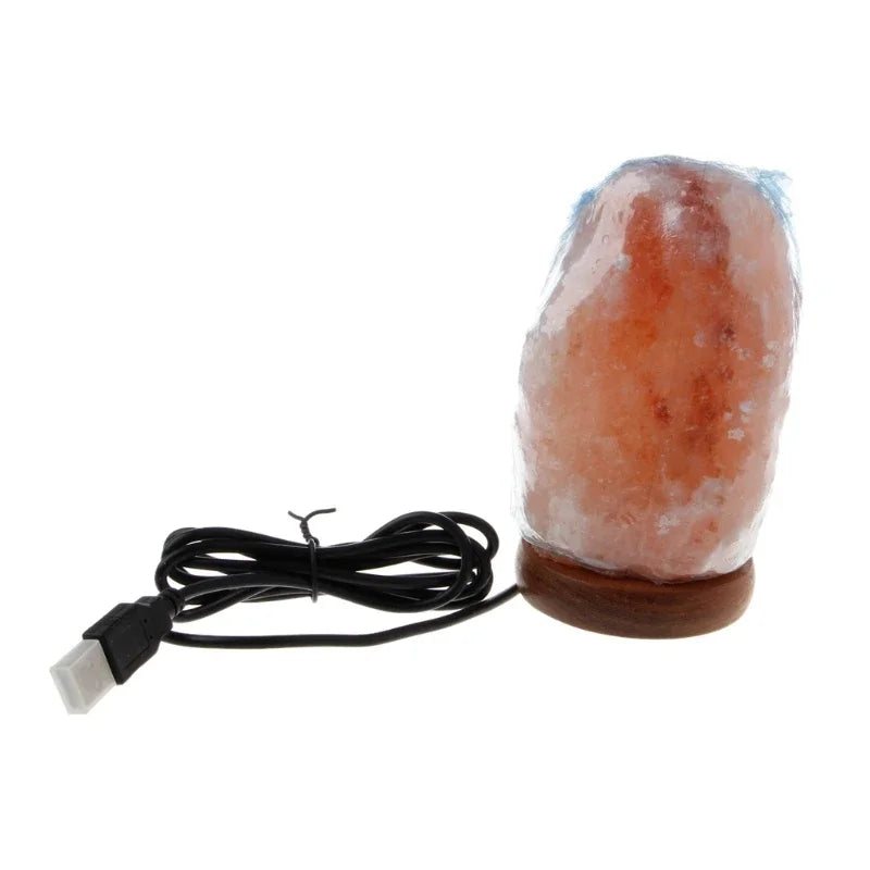 Hand Carved Wooden Base Himalayan Rock Salt Table Lamp Air Purifier LED Night Light