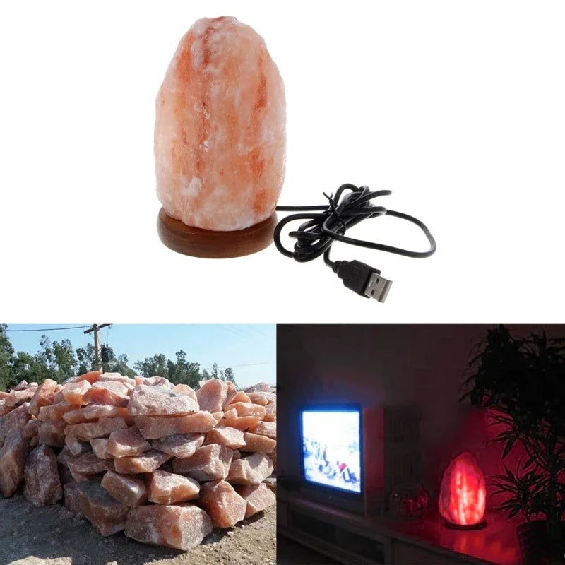 Hand Carved Wooden Base Himalayan Rock Salt Table Lamp Air Purifier LED Night Light
